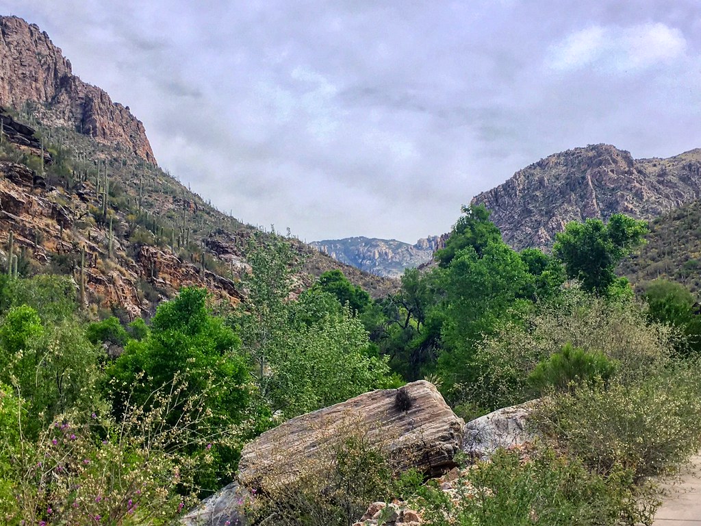 Sabino Canyon: Hill Training