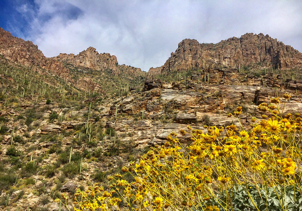 Sabino Canyon: Hill Training